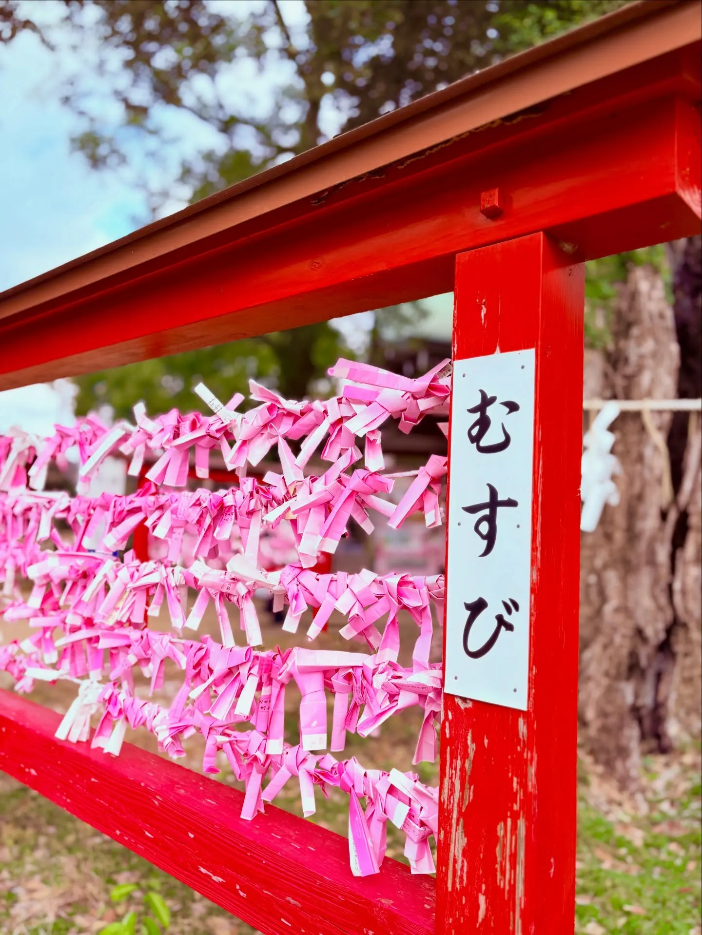 熊本で大人気の婚活イベントは毎回満員となるNicetime結...